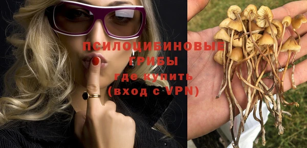 дурь Козловка