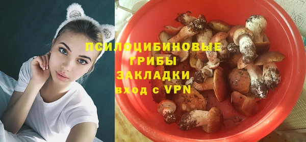 дмт Киреевск