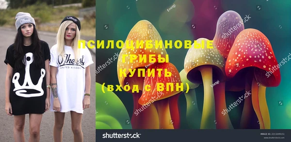 дурь Козловка
