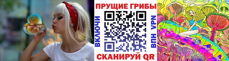Купить  Кохма  Псилоцибиновые грибы Magic Shrooms 